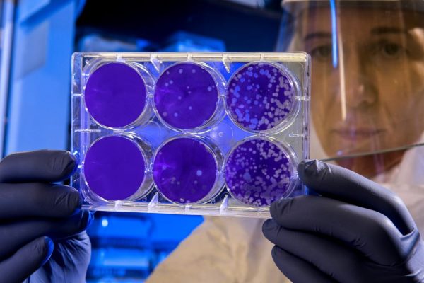 Alibaba, Westlake University unveil AI model to spur stem cell reprogramming